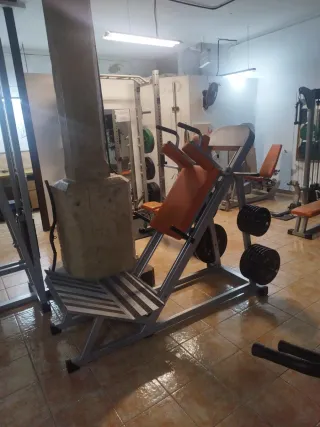 Lote de maquinaria de gimnasio: