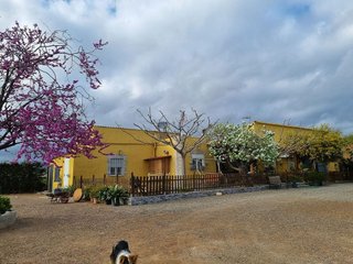 Casa rural en venta en Llevant en Reus