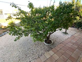 Casa en venta en Castellbisbal