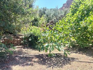 Casa en venta en Pinar (El)