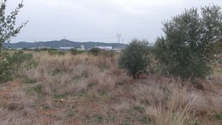 Terreno en venta en Vall d´Uixó (la)