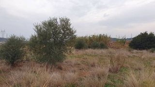 Terreno en venta en Vall d´Uixó (la)