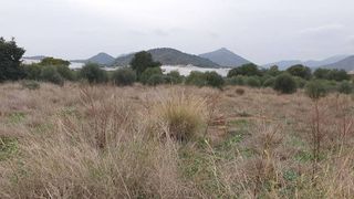Terreno en venta en Vall d´Uixó (la)