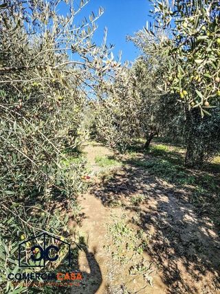 Cortijo en venta en Chauchina