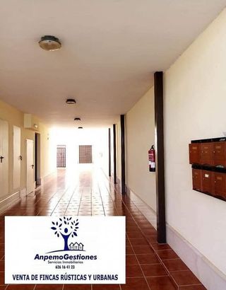 Casa adosada en venta en Palma del Río