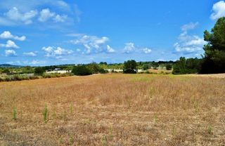 Terreno en venta en Porreres
