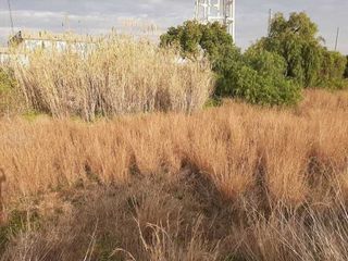 Terreno en venta en Picassent