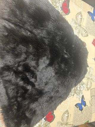 Capa corta de pelo negra