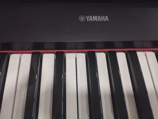 Teclado Yamaha Piaggero NP-11