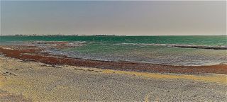 Casa adosada en venta en Centro en Puerto de Santa María (El)