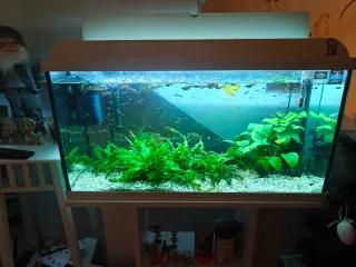 Acuario Aqualed Pro 88L con filtro y calentador