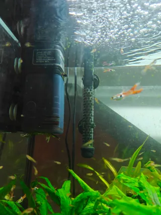 Acuario Aqualed Pro 88L con filtro y calentador