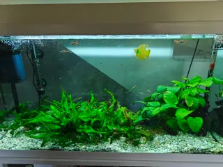 Acuario Aqualed Pro 88L con filtro y calentador