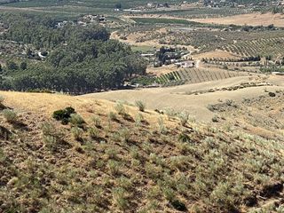 Terreno en venta en Pizarra