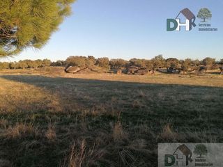 Solar en venta en Arroyo de la Luz