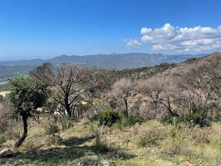 Solar en venta en Can Semi - Mas Nou - Mas Ros en Castell-Platja d´Aro