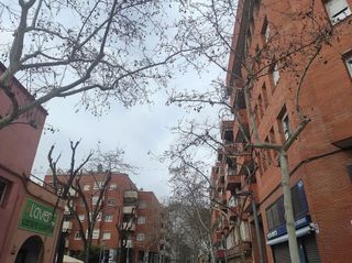 Local comercial en alquiler en El Centre en Esplugues de Llobregat