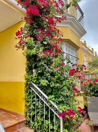 Casa pareada en venta en V Centenario-Piletas-Capuchinos en Sanlúcar de Barrameda