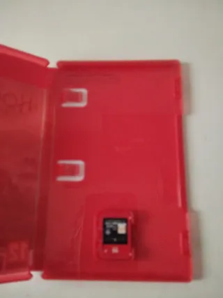 Hogwarts Legacy Nintendo Switch