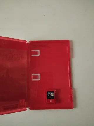 Hogwarts Legacy Nintendo Switch