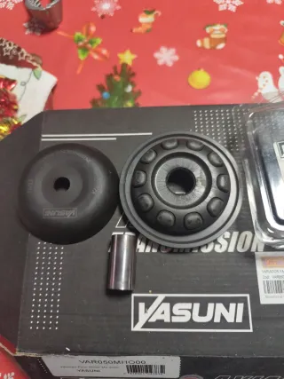 Variador Yasuni y 3 muelles Malossi