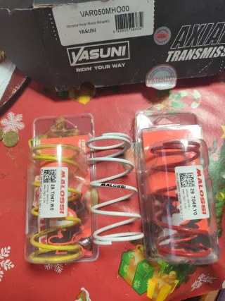 Variador Yasuni y 3 muelles Malossi