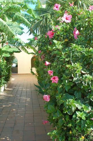 Piso en venta en Sotogrande Costa en San Roque