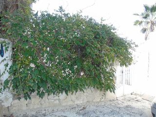 Terreno en venta en Lorquí