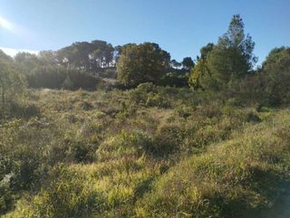 Solar en venta en Sant Joan-Vilarromà en Palamós