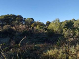 Solar en venta en Sant Joan-Vilarromà en Palamós
