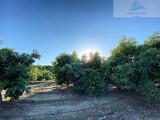 Casa rural en venta en Salobreña