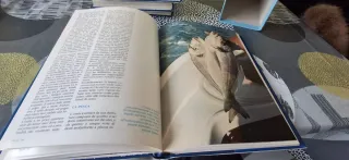 Enciclopedia pratica della pesca