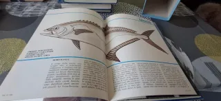 Enciclopedia pratica della pesca