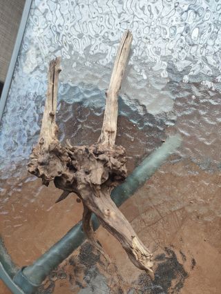 Raíces de madera para acuario