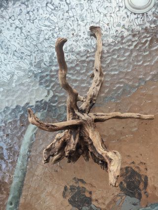 Raíces de madera para acuario