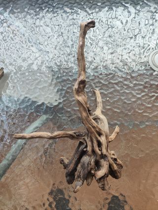 Raíces de madera para acuario