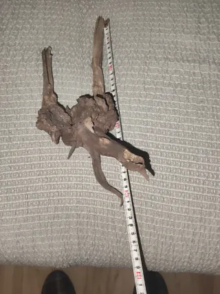 Raíces de madera para acuario