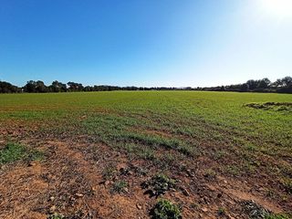 Casa rural en venta en Porreres