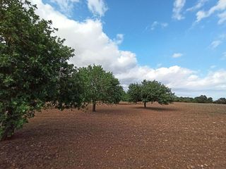 Casa rural en venta en Porreres