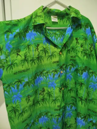 Camisa Hawaiana Estampada Palmeras