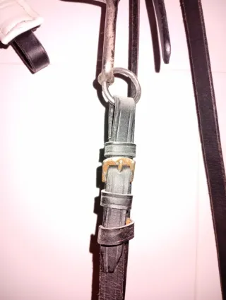 Cabezada de filete y bocado