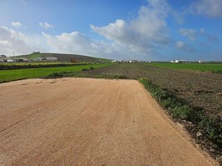 Nave industrial en venta en Marchena