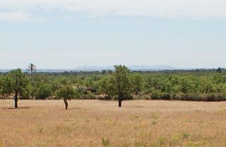 Terreno en venta en Porreres