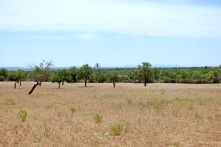 Terreno en venta en Porreres