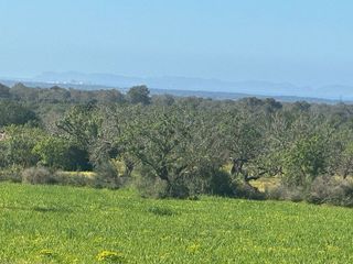 Terreno en venta en Porreres