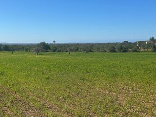 Terreno en venta en Porreres