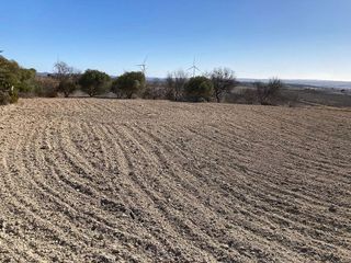 Terreno en venta en Pinar de los Franceses - Marquesado en Chiclana de la Frontera