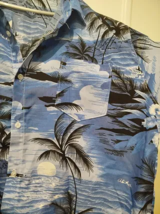 Camisa Hawaiana Estampada Palmeras
