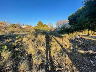 Terreno en venta en Muela (La)