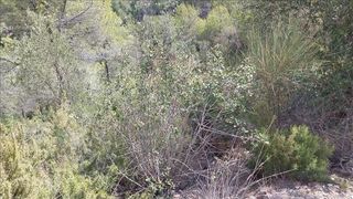 Terreno en venta en Viladecavalls